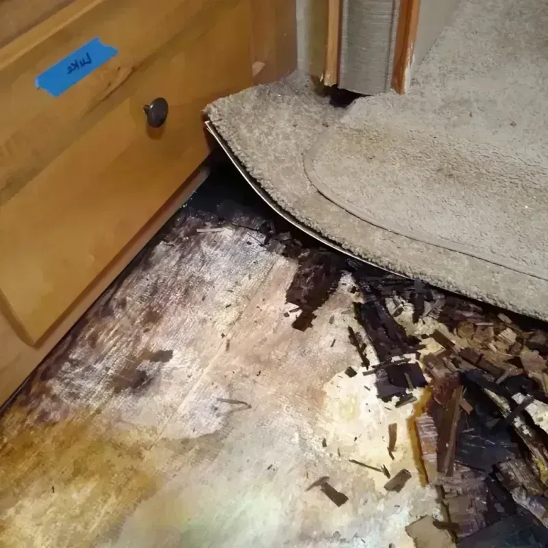 Wood Floor Water Damage in New Columbia, PA